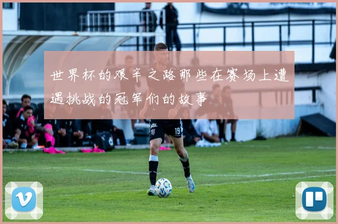 世界杯的艰辛之路那些在赛场上遭遇挑战的冠军们的故事